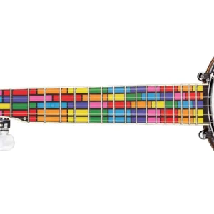 Banjo Fretboard Note Sticker Guides