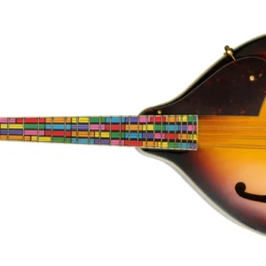 Mandolin Fretboard Note Sticker Guides