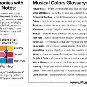 Musical Colors Notes Playbook